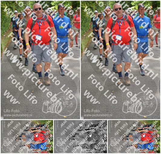 Evenement foto: Nijmeegse Vierdaagse 957