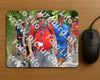Evenement foto: Nijmeegse Vierdaagse 957