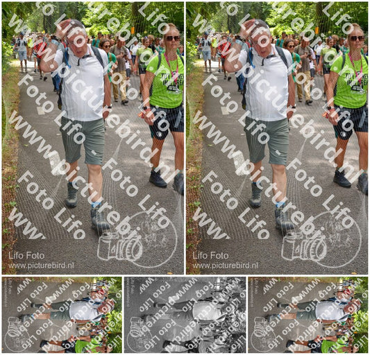Evenement foto: Nijmeegse Vierdaagse 957