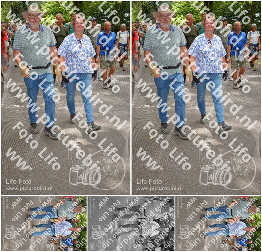Evenement foto: Nijmeegse Vierdaagse 957