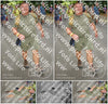 Evenement foto: Nijmeegse Vierdaagse 957