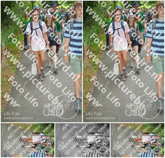 Evenement foto: Nijmeegse Vierdaagse 957