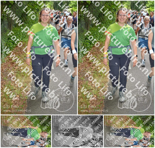 Evenement foto: Nijmeegse Vierdaagse 957