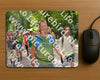 Evenement foto: Nijmeegse Vierdaagse 957