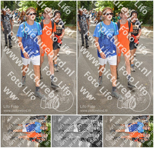 Evenement foto: Nijmeegse Vierdaagse 957