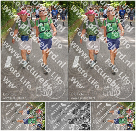 Evenement foto: Nijmeegse Vierdaagse 957