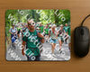 Evenement foto: Nijmeegse Vierdaagse 957