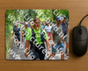 Evenement foto: Nijmeegse Vierdaagse 957