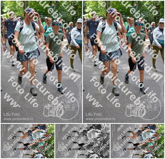 Evenement foto: Nijmeegse Vierdaagse 957