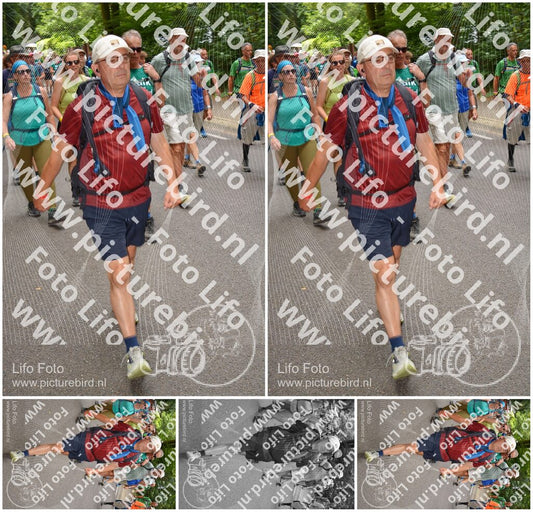 Evenement foto: Nijmeegse Vierdaagse 957
