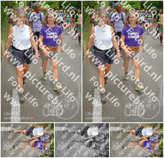 Evenement foto: Nijmeegse Vierdaagse 957