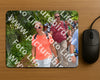 Evenement foto: Nijmeegse Vierdaagse 957