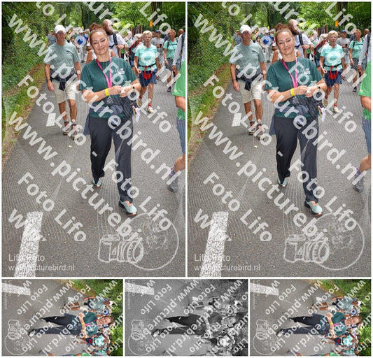 Evenement foto: Nijmeegse Vierdaagse 957