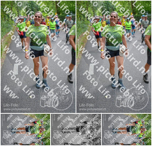 Evenement foto: Nijmeegse Vierdaagse 957