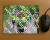 Evenement foto: Nijmeegse Vierdaagse 957