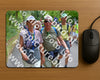 Evenement foto: Nijmeegse Vierdaagse 957