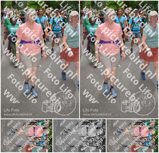 Evenement foto: Nijmeegse Vierdaagse 956