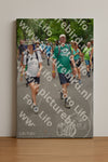 Evenement foto: Nijmeegse Vierdaagse 956