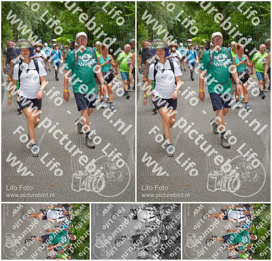 Evenement foto: Nijmeegse Vierdaagse 956
