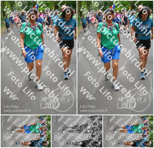 Evenement foto: Nijmeegse Vierdaagse 956