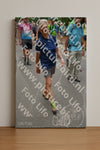 Evenement foto: Nijmeegse Vierdaagse 956