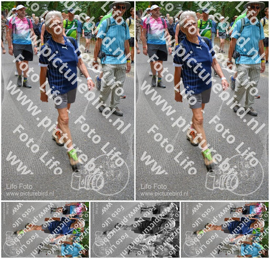 Evenement foto: Nijmeegse Vierdaagse 956