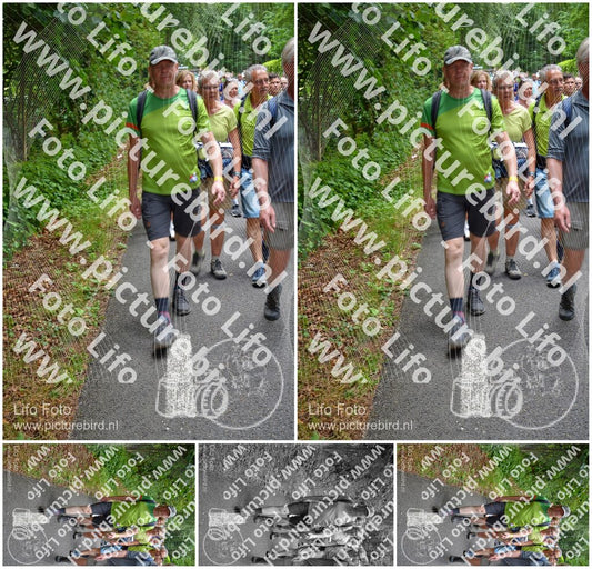 Evenement foto: Nijmeegse Vierdaagse 956