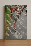 Evenement foto: Nijmeegse Vierdaagse 956