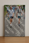 Evenement foto: Nijmeegse Vierdaagse 956