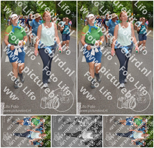 Evenement foto: Nijmeegse Vierdaagse 956