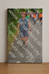 Evenement foto: Nijmeegse Vierdaagse 956