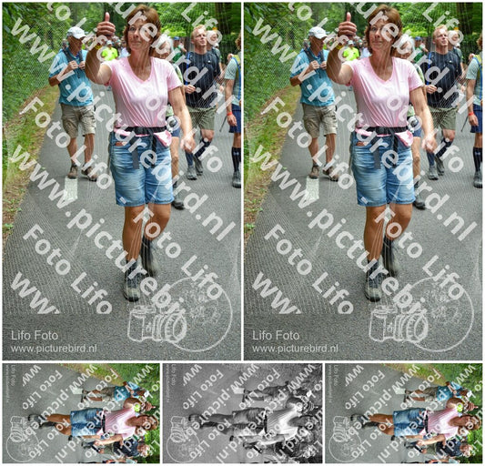 Evenement foto: Nijmeegse Vierdaagse 956