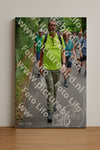 Evenement foto: Nijmeegse Vierdaagse 956