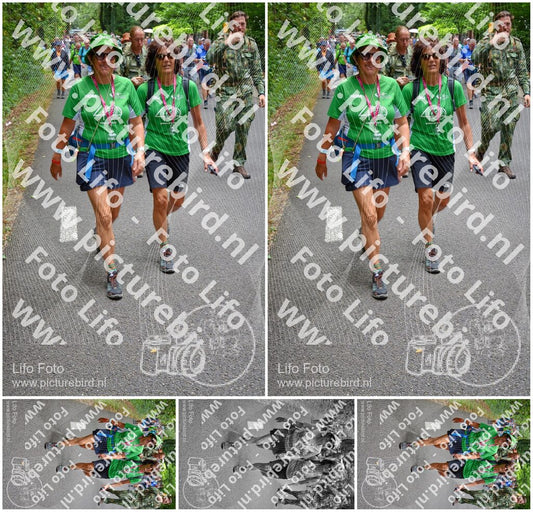 Evenement foto: Nijmeegse Vierdaagse 956