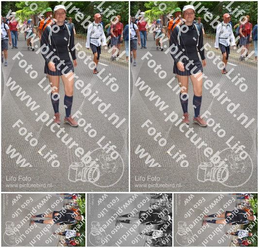 Evenement foto: Nijmeegse Vierdaagse 956