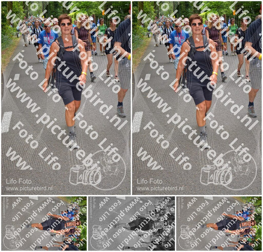 Evenement foto: Nijmeegse Vierdaagse 956