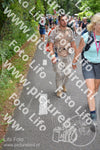 Evenement foto: Nijmeegse Vierdaagse 956