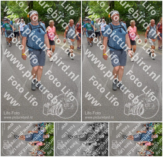 Evenement foto: Nijmeegse Vierdaagse 956