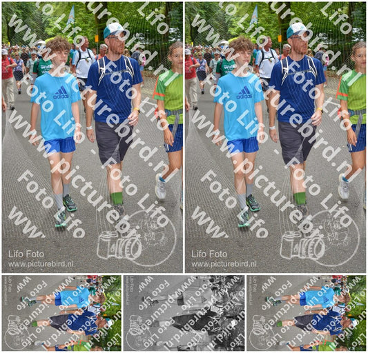 Evenement foto: Nijmeegse Vierdaagse 956