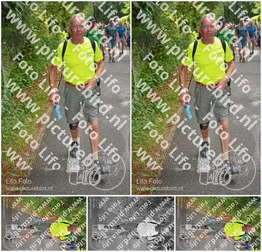 Evenement foto: Nijmeegse Vierdaagse 956