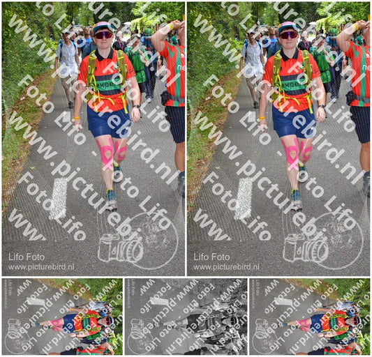 Evenement foto: Nijmeegse Vierdaagse 956