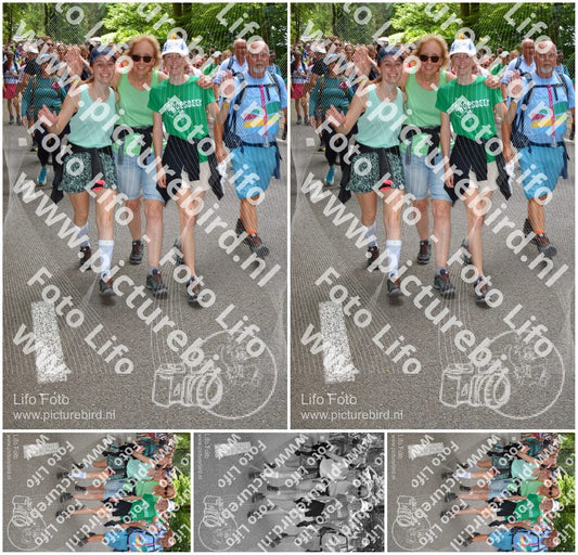 Evenement foto: Nijmeegse Vierdaagse 956