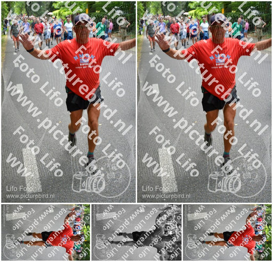 Evenement foto: Nijmeegse Vierdaagse 956