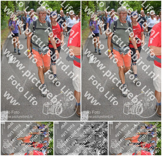Evenement foto: Nijmeegse Vierdaagse 956