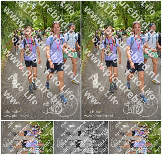 Evenement foto: Nijmeegse Vierdaagse 956