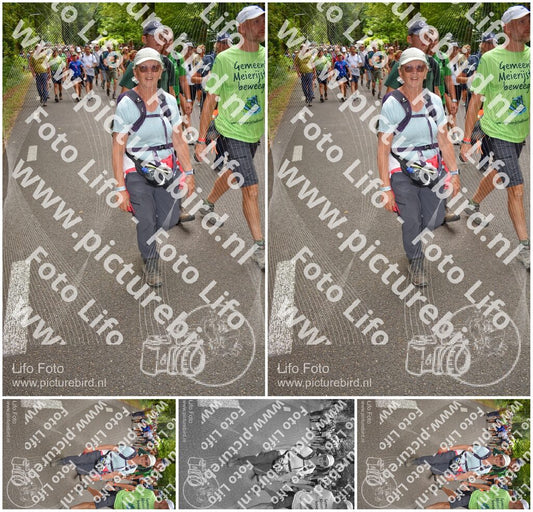Evenement foto: Nijmeegse Vierdaagse 956