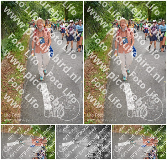 Evenement foto: Nijmeegse Vierdaagse 956