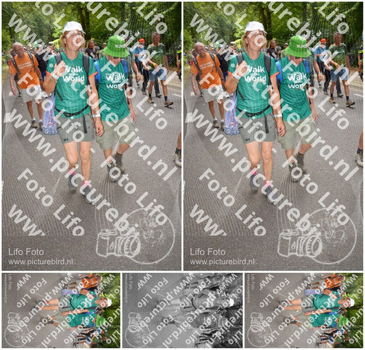 Evenement foto: Nijmeegse Vierdaagse 956
