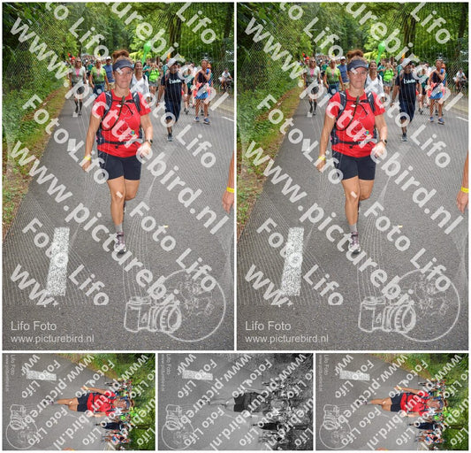 Evenement foto: Nijmeegse Vierdaagse 956