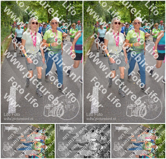 Evenement foto: Nijmeegse Vierdaagse 956